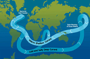 A schematic of modern thermohaline circulation