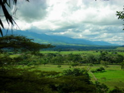 Los Llanos plains in Colombia.