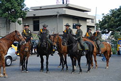 Mounted Colombian National Police unit on patrol, City of Medell�n.