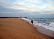 Arugam Point at the Arugam Bay beach a tourist attractive place.