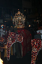 Elephants at the Esala Perahera.