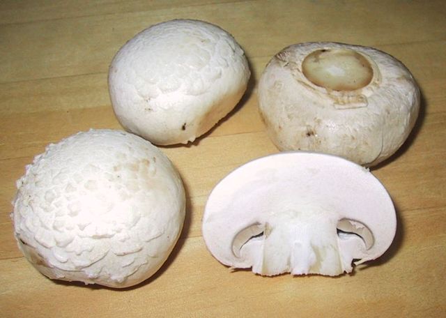 Image:ChampignonMushroom.jpg