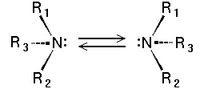 amine inversion