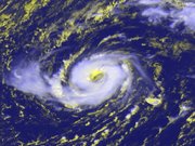 Hurricane Vince on October 9, 2005 northwest of the Madeira Islands. For comparison, the main island of the Madeiras (the largest island in the picture) is approximately 30 miles (57 km) long. (� 2005 EUMETSAT)