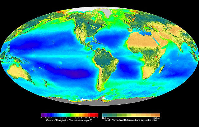 Image:Seawifs global biosphere.jpg