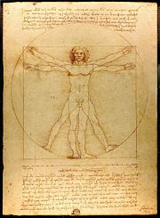 The Vitruvian Man (c. 1485) Accademia, Venice