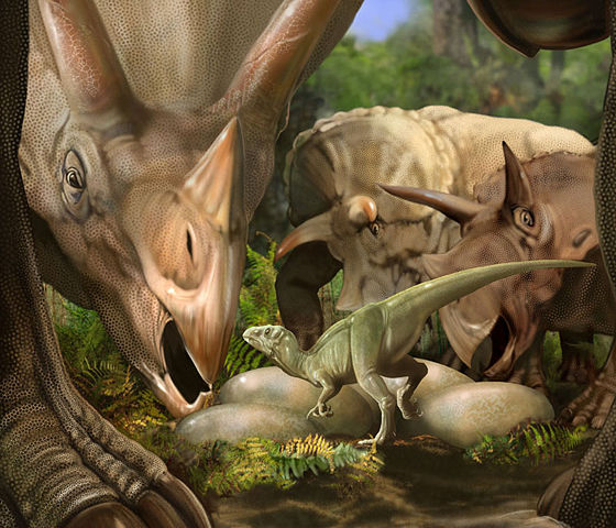 Image:Triceratops and nest.jpg