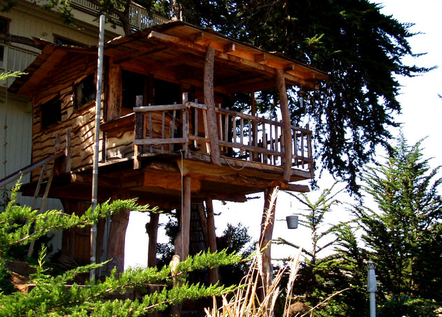 Image:Tree house.jpg