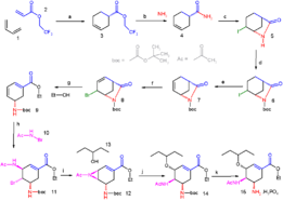 A synthesis designed by E.J. Corey for oseltamivir (Tamiflu�).