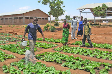 'In field' training in Malawi, 2006