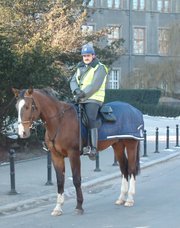 Polish mounted policeman, Poznań