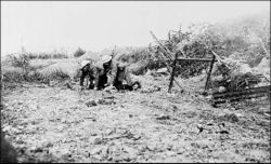 A wounded man of the Newfoundland Regiment is brought in at Beaumont Hamel.