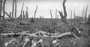 The ruins of Pozi�res looking north, 28 August