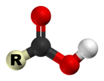 The 3D structure of the carboxyl group