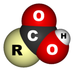 A space-filling model of the carboxyl group