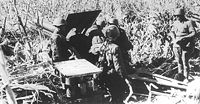 Soviet gun crew in action at Odessa in 1941