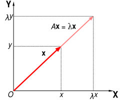 Fig. 2. The eigenvalue equation as a homothety (similarity transformation) on the vector x.