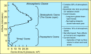 The distribution of atmospheric ozone in partial pressure as a function of altitude.