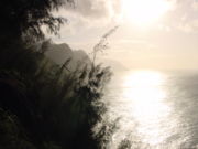 The secluded valleys along the Na Pali Coast in Hawaii are the residence of tribes that make only small changes in the natural beauty surrounding them.