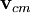 \mathbf{v}_{cm}