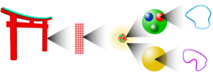 Levels of magnification: Macroscopic level, molecular level, atomic level, subatomic level, string level.