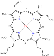 Structure of Heme b