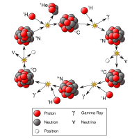 The carbon-nitrogen-oxygen cycle