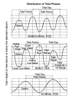 Types of tides.