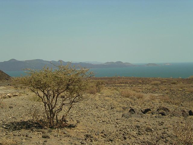 Image:Lake turkana.jpg