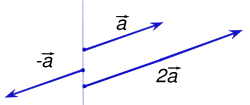 The scalar multiplications 2a and −a of a vector a