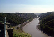 The Avon Gorge, home to several unique plant species.