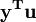 \mathbf{y^T u}