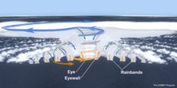 A cross section diagram of a mature tropical cyclone, with arrows indicating air flow in and around the eye