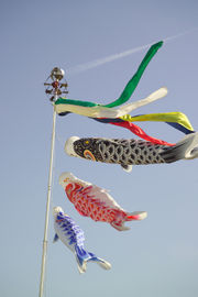 koinobori - ornament of Tango no sekku. Early summer.