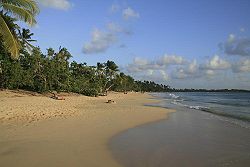 Les Salines, wide sand beach at the southern end of the island