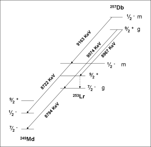 Image:257Db decay scheme.png