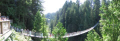 Capilano Bridge.