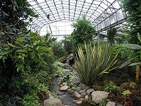 Duthie Park Winter Gardens