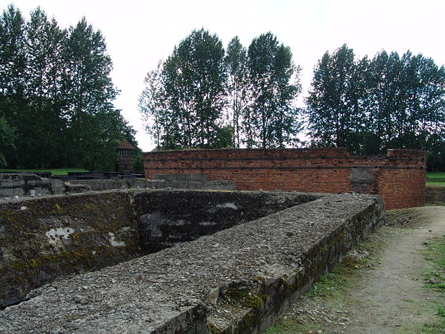 Image:Gas chambers ruins.JPG