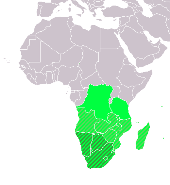 �����Southern Africa (UN subregion) �����geographic, including above �����Southern African Development Community (SADC)