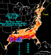 Rainfall totals from Allison