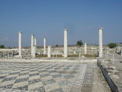 An atrium with a pebble-mosaic paving, in Pella, Greece