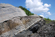 Ordovician-Silurian boundary exposed on Hoved�ya, Norway, showing the very marked difference between the light gray Ordovician calcareous sandstone and brown Silurian mudstone. The layers have been inverted (overturned) by the Caledonian orogeny.