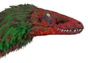 Head of Deinonychus based on recent reconstruction of the skull.