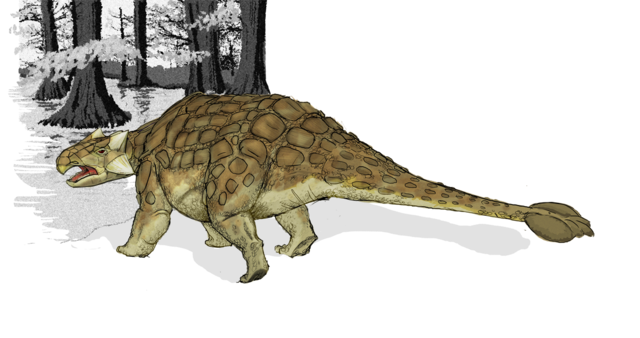 Image:Ankylosaurus dinosaur.png