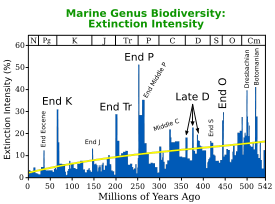 The "end Eocene" event.