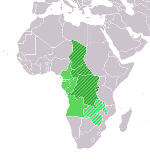 �����Central Africa �����Middle Africa (UN subregion) �����Central African Federation (defunct)