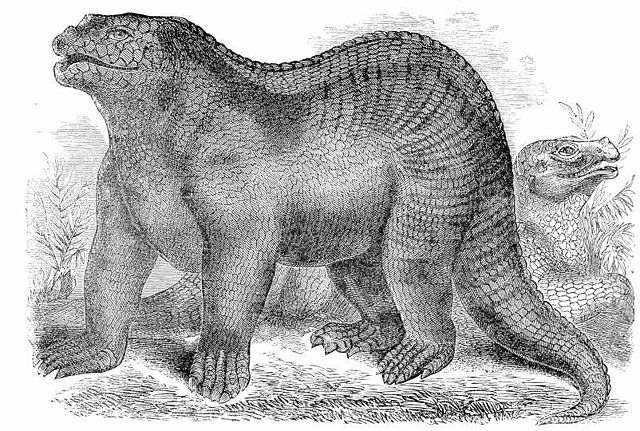 Image:Goodrich Iguanodon.jpg