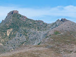 Felled trees at Johnston Ridge, 2004