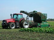 A beet harvester